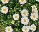 あなたのお悩みお聴きします 雑談/不安/悩み/モヤモヤ　どんなことでもお気軽にどうぞ✨️ イメージ8