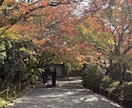 京都記事を取材・撮影・構成から一括制作します 京都観光15年、現地取材・写真撮影・記事制作まで対応 イメージ4