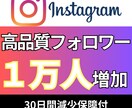 インスタ高品質フォロワー10,000名_増やします Instagram追加＋10,000〜100,000名も対応 イメージ1