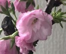 お家に着くまでお話相手します 暇だな〜ひとりつまんないな〜なんて時にいかがでしょう♡ イメージ1