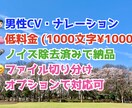 千円から！男性CV・ナレーションをご提供いたします ノイズカット込み！ファイル切り分け・音量音圧調整も可！ イメージ11
