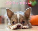 何でも聴きます 話すって大事。聴いてもらうって大事。きっと楽になる。 イメージ1