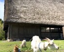 最上級の思い出を！！コスパ最高旅行をお届けします 無駄な出費を抑えて、プラスαたのしもう！！ イメージ4