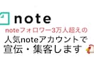 noteフォロワー3万人超えアカウントで宣伝します フォロワーランキングTOP200位に入る超人気アカウント使用 イメージ1
