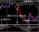MT4/MT5対応の自動売買EAを作成します あなたの売買ルールをEAにします！ イメージ2