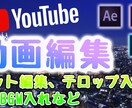 YouTube向けの動画編集を承ります 動画編集、字幕入れ、サムネイル作成いたします イメージ2