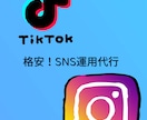 皆様のSNSアカウントを成長させます SNSの運用をお任せください！！！ イメージ1