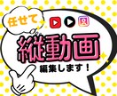 バラエティー系！ショート動画の制作致します TikTok、リール、YouTubeショートなどの縦動画 イメージ1