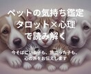 今だけモニター価格　ペットの気持ち鑑定します 今そばにいる子も、旅立った子も、寄り添いながら読み解きます イメージ1