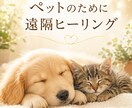 大切な家族であるペットへ遠隔ヒーリングお届けします その子本来の穏やかな状態へ整うようサポートいたします。 イメージ1