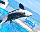 観光スポット、ホテルに関する記事を書きます 国語科教員免許所持者があなたの町の魅力を伝えます！ イメージ6