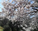 理系オジさんが人生・恋愛など相談のります 人は誰でも悩みます、少しでも前向きになってくれたらと思います イメージ1
