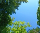 貴方の悩み不思議な山の賢者がお答えします 宇宙の理（ことわり）で生きている孤高な賢者の時間を楽しむ♥ イメージ4