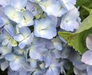 私の根幹である福祉の経験を提供します 福祉の世界で生きてきた私の経験を受け取ってください。 イメージ8