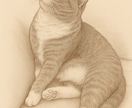 あなたの大切な猫ちゃんをイラストにします サンプルのように繊細なタッチでお描きします。商用利用◎ イメージ7