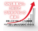 36日でプラチナ達成！リアル戦略書をお届けします 経験×分析で掴んだ“最短ルート”を1冊に凝縮☘️ イメージ1