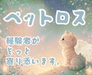 ペットロスの涙　看病の苦悩　経験者が寄り添います 10年連れ添った家族を看取った私があなたの心の杖になります。 イメージ1