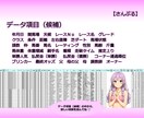 競馬☆ レース結果データ １年分を提供します データを活用して、予想の的中率と回収率をアップしましょう！ イメージ3