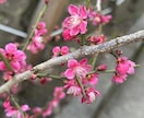感情•思考•行動のズレを見えない世界を使い整えます 変われない自分から変わる自分へ。占いだけでは現実は開けません イメージ3