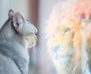 引き寄せの法則タロットで願望実現の手助けを占います 絶版のLaw of Attraction Tarotを使用！ イメージ4
