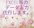 EXCEL等のデータ入力を代行します IT業界歴40年、どんなデータも正確に入力します。 イメージ1