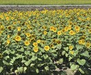 誰にも言えない愚痴ききます 職場や人間関係、誰にも言えない愚痴聞きます イメージ1