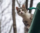 タイトルとキャッチフレーズを一緒に考えます あなた専用のオリジナル作品にしませんか？お気軽に✨ イメージ8