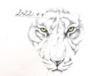 お花のイラストを色鉛筆で描きます お花の絵を飾ろう。生花じゃなくても絵で癒される時間を イメージ5