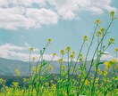 摂食障害のお悩み、愚痴を優しくお聞きします 15年かけて摂食障害を完治した経験者が優しく寄り添います。 イメージ3