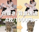 画像の背景切り抜き・白抜き・GB加工を行います 背景透過・切り抜き・白抜き・GB加工 イメージ1