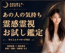 初回お試し｜霊視でお相手の気持ちと次の一手を視ます 24h以内♪約800字♪ 復縁/不倫/遠距離/失恋/片想い イメージ1