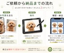写真からペットのLINEスタンプを作成します 大切なうちの子を世界にひとつのスタンプに イメージ2
