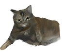 ペットの似顔絵を描きます 可愛いペットをイラストにします イメージ3