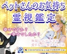 ペットさんお気持ちリーディング✨霊視鑑定いたします 今、幸せ感じてくれている？虹の橋を渡った子の気持ちも鑑定可能 イメージ1