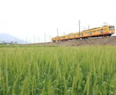 鉄道写真提供します 日本各地、四季折々の鉄道写真素材データを提供します! イメージ4