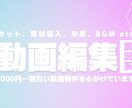 3000円〜 youtubeの動画制作ができます 高校生。YMM4、Adobe Premiere Pro使用 イメージ1