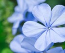 費用や流れ葬儀にまつわる悩みにお答えします 知る事であなたの心とお金に余裕がうまれるはず… イメージ3