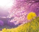 元メンエス嬢がお悩みじっくりお聞きします 愚痴/悩み/仕事/相談/夜職/メンエス/風俗 イメージ7