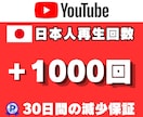 YouTubeの日本人再生回数1000回拡散します 日本国内プロモーション！30日間の減少保証付き！ イメージ1