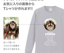 ペット（犬　猫）の画像で、うちの子Tシャツ作ります プロフィール入りだから着ているだけで自己紹介が出来ちゃいます イメージ3