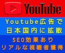 国内限定PR★YouTube＋500回再生します YouTube広告で日本国内にPRしてリアルな視聴者を獲得 イメージ2