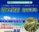 画像1枚3000円高品質デザインします ぽちりたくなる･クリック上げる画像ご提供いたします イメージ3