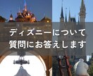 ディズニーについてなんでも質問に答えます 格安提供！システムが変わりすぎて分からないという方に！ イメージ1