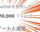 Twitterツイート作成・添削・アドバイスします 拡散宣伝付の安心SNSマーケティング★集客・webプロモ★ イメージ4