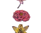 商用可  ボタニカル(植物)イラスト描きます 温かみのある線画のボタニカル(植物)イラスト イメージ3