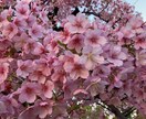 何でも、お話お聞きします 何でもお話聞きます相談に乗れれば幸せです宜しくお願いします イメージ1