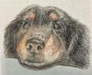 愛犬・愛猫を色鉛筆またはデジタルでリアルに描きます ペットとの思い出をあったかい似顔絵でお手元に イメージ1