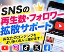 SNS拡散であなたの投稿を届けるお手伝いをします あなたのSNS発信を、もっと多くの人へ届けます イメージ1