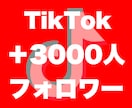 Tiktokフォロワー3000人増やします 評価貯まるまで最安★フォロワー確実に増加させます！ イメージ7