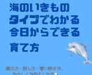 お子さまのタイプを優しく導きます 海タイプ診断でその子の伸ばし方が分かる♪ イメージ1